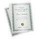 Certificates with special-effect colours, A3